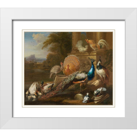 Peacocks, Doves, Turkeys, Chickens and Ducks by a Classical Ruin White Modern Wood Framed Art Print with Double Matting by Cradock, Marmaduke