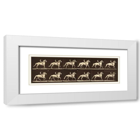 Motion Study: Man Riding A Horse White Modern Wood Framed Art Print with Double Matting by Muybridge, Eadweard