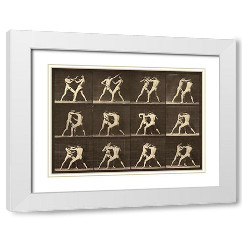 Motion Study: Men Fighting White Modern Wood Framed Art Print with Double Matting by Muybridge, Eadweard