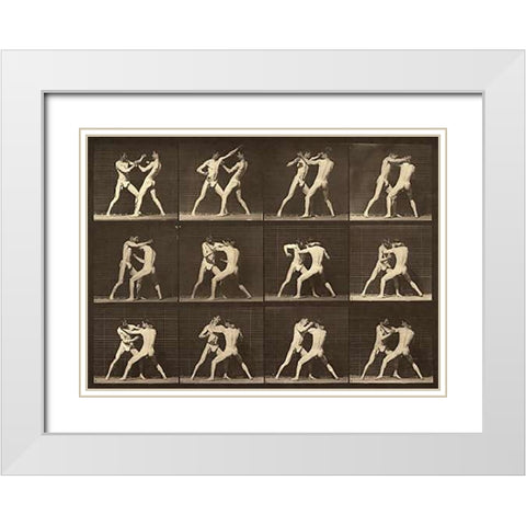 Motion Study: Men Fighting White Modern Wood Framed Art Print with Double Matting by Muybridge, Eadweard