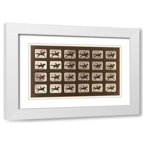 Motion Study: Man Riding A Galloping Horse White Modern Wood Framed Art Print with Double Matting by Muybridge, Eadweard