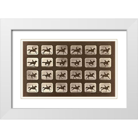 Motion Study: Man Riding A Galloping Horse White Modern Wood Framed Art Print with Double Matting by Muybridge, Eadweard