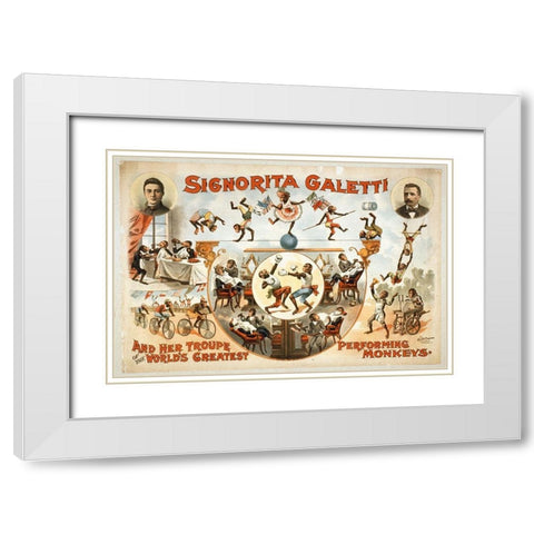 Signorita Galetti Performing Monkeys White Modern Wood Framed Art Print with Double Matting by Hollywood Photo Archive