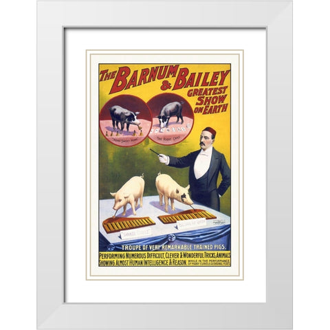 The Barnum and Bailey Greatest Show On Earth--Troupe Of Very Remarkable Trained Pigs White Modern Wood Framed Art Print with Double Matting by Hollywood Photo Archive