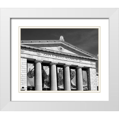 Shedd Aquarium Chicago Illinois White Modern Wood Framed Art Print with Double Matting by Highsmith, Carol