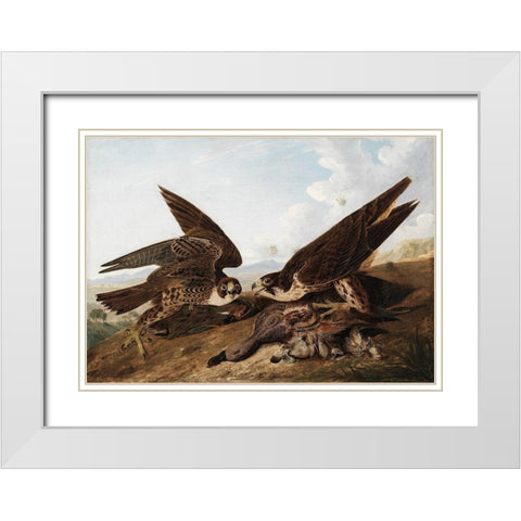 Peregrine Falcons White Modern Wood Framed Art Print with Double Matting by Audubon, John James