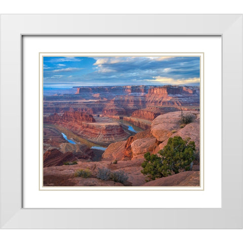 Colorado River from Deadhorse Point, Canyonlands National Park, Utah White Modern Wood Framed Art Print with Double Matting by Fitzharris, Tim
