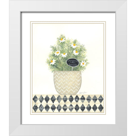 Chamomile Humility White Modern Wood Framed Art Print with Double Matting by LaPoint, Annie