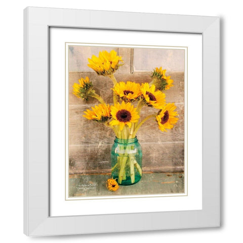 Country Sunflowers I White Modern Wood Framed Art Print with Double Matting by Smith, Anthony