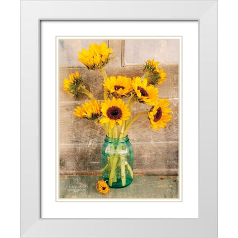 Country Sunflowers I White Modern Wood Framed Art Print with Double Matting by Smith, Anthony