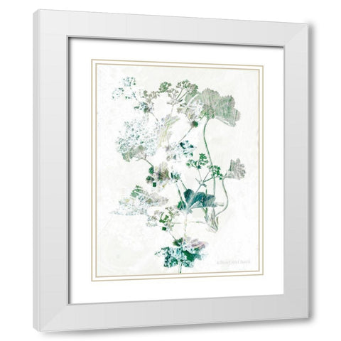 Geranium Botanical  White Modern Wood Framed Art Print with Double Matting by Bluebird Barn
