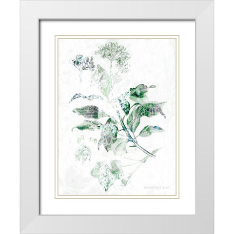 Verbena Botanical   White Modern Wood Framed Art Print with Double Matting by Bluebird Barn