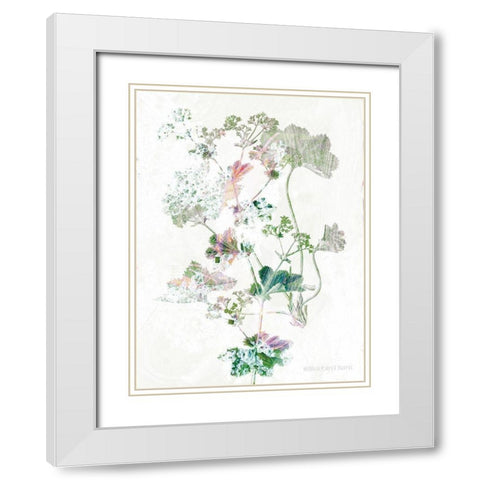 Boho Geranium Botanical    White Modern Wood Framed Art Print with Double Matting by Bluebird Barn