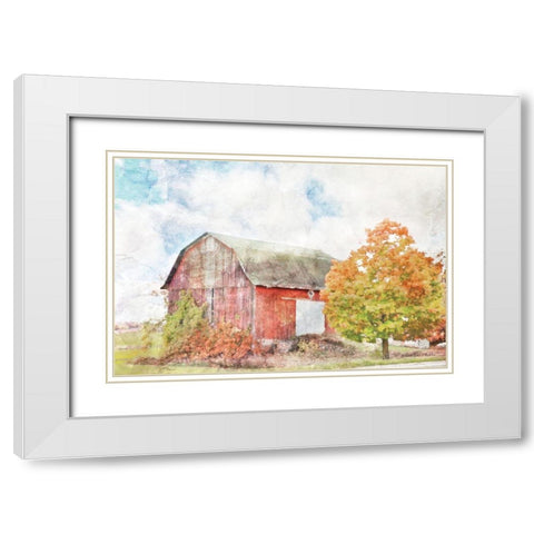 Autumn Maple by the Barn White Modern Wood Framed Art Print with Double Matting by Bluebird Barn