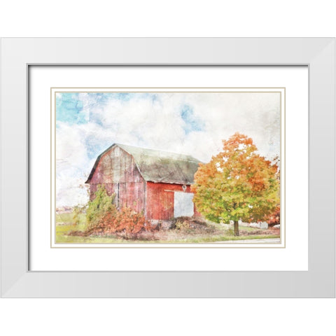 Autumn Maple by the Barn White Modern Wood Framed Art Print with Double Matting by Bluebird Barn