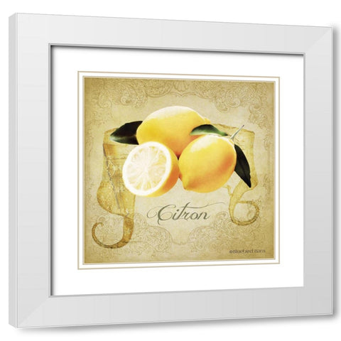 Vintage Lemons Citron White Modern Wood Framed Art Print with Double Matting by Bluebird Barn