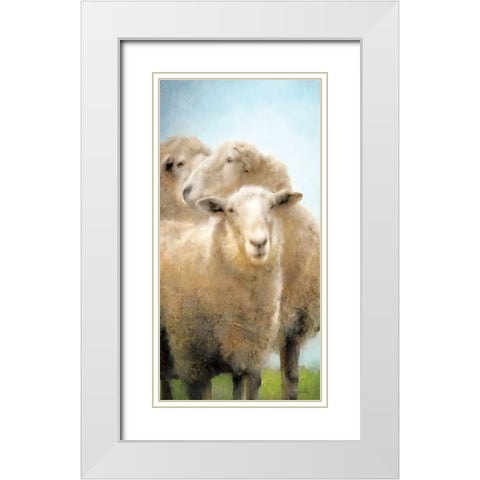 Three Sheep Portrait White Modern Wood Framed Art Print with Double Matting by Bluebird Barn