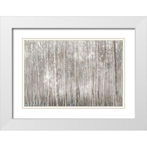 Birch Trees     White Modern Wood Framed Art Print with Double Matting by Bluebird Barn