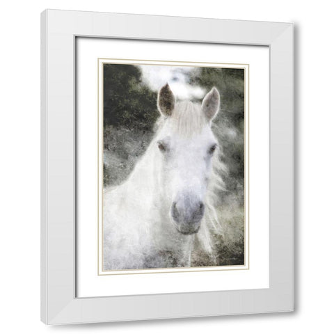 White Horse Mystique    White Modern Wood Framed Art Print with Double Matting by Bluebird Barn