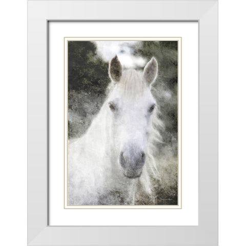 White Horse Mystique    White Modern Wood Framed Art Print with Double Matting by Bluebird Barn