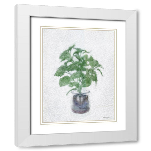 Basil Jar    White Modern Wood Framed Art Print with Double Matting by Bluebird Barn