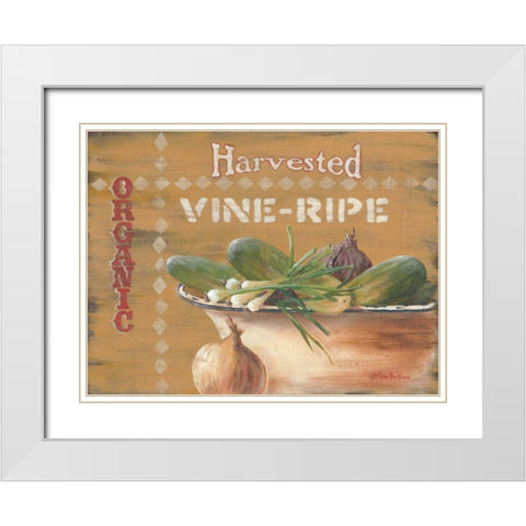 Vine Ripe White Modern Wood Framed Art Print with Double Matting by Britton, Pam