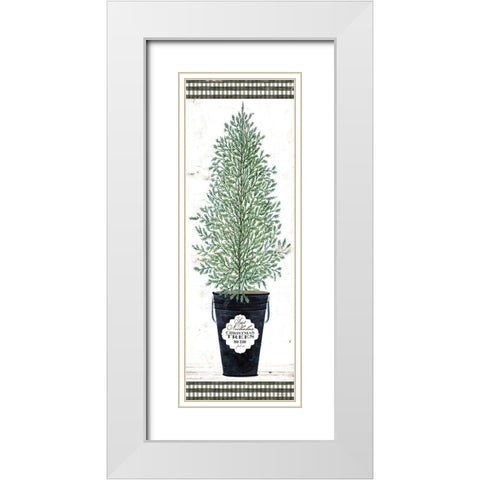Cedar Tree    White Modern Wood Framed Art Print with Double Matting by Jacobs, Cindy