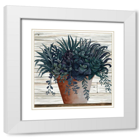 Remarkable Succulents I White Modern Wood Framed Art Print with Double Matting by Jacobs, Cindy