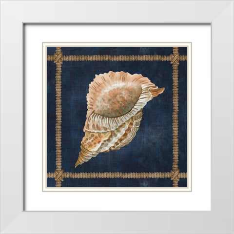 Seashell on Navy VI White Modern Wood Framed Art Print with Double Matting by Jacobs, Cindy