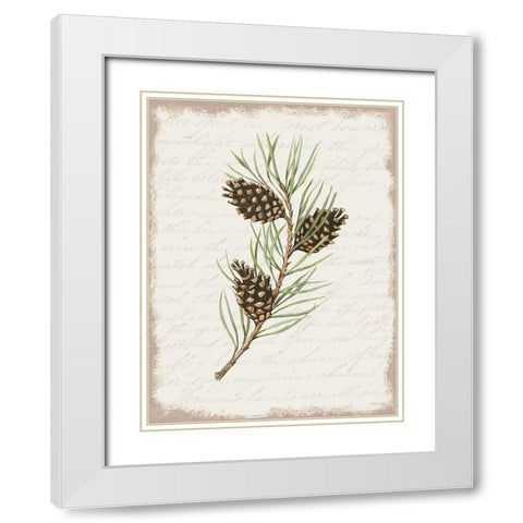 Pine Cone Botanical I White Modern Wood Framed Art Print with Double Matting by Jacobs, Cindy