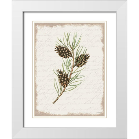 Pine Cone Botanical I White Modern Wood Framed Art Print with Double Matting by Jacobs, Cindy