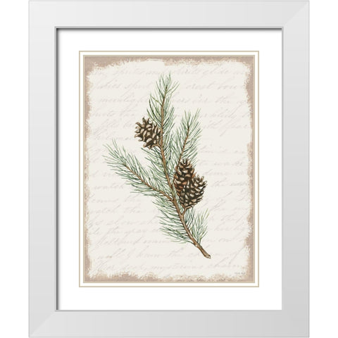 Pine Cone Botanical II White Modern Wood Framed Art Print with Double Matting by Jacobs, Cindy
