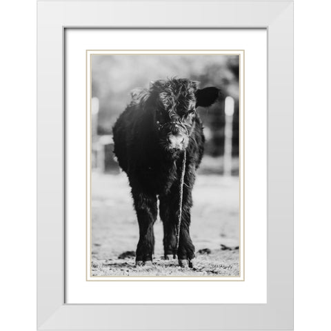 Single Cow White Modern Wood Framed Art Print with Double Matting by Diener, Dakota