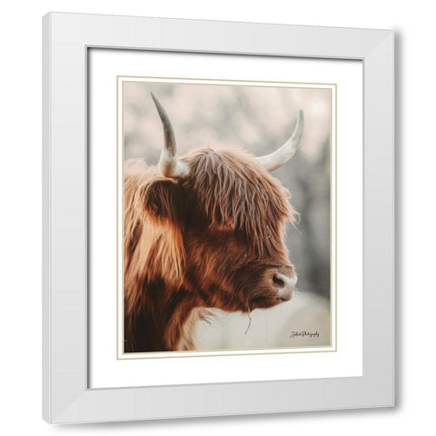 Highland Pose White Modern Wood Framed Art Print with Double Matting by Diener, Dakota
