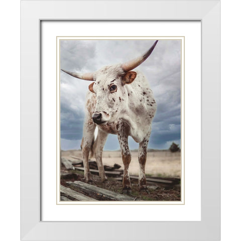 Cloudy Day Cow White Modern Wood Framed Art Print with Double Matting by Diener, Dakota