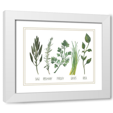 Watercolor Herbs White Modern Wood Framed Art Print with Double Matting by Dogwood Portfolio