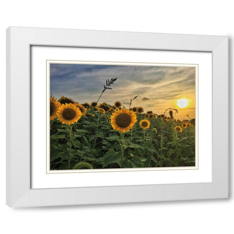 Midwest Livin I White Modern Wood Framed Art Print with Double Matting by Quillen, Donnie