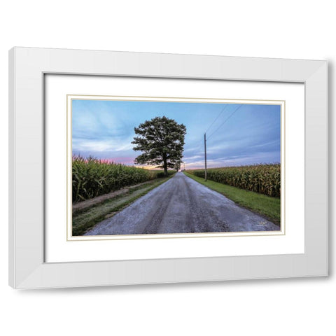 A Summer Sunset II White Modern Wood Framed Art Print with Double Matting by Quillen, Donnie