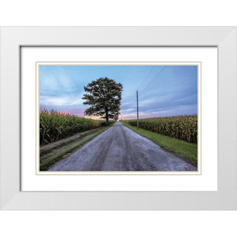 A Summer Sunset II White Modern Wood Framed Art Print with Double Matting by Quillen, Donnie