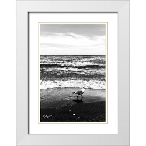 Seagull I    White Modern Wood Framed Art Print with Double Matting by Quillen, Donnie