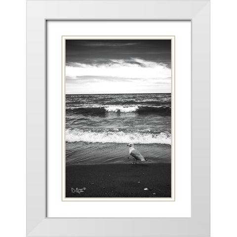 Seagull II    White Modern Wood Framed Art Print with Double Matting by Quillen, Donnie