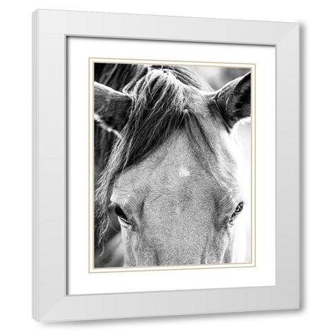 Trophy Winner I   White Modern Wood Framed Art Print with Double Matting by Quillen, Donnie