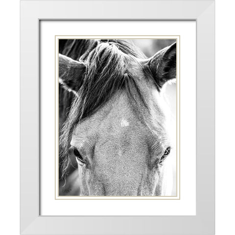 Trophy Winner I   White Modern Wood Framed Art Print with Double Matting by Quillen, Donnie