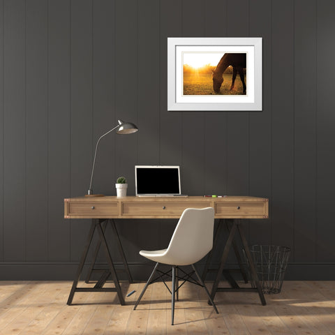 Sunset Grazing I White Modern Wood Framed Art Print with Double Matting by Quillen, Donnie