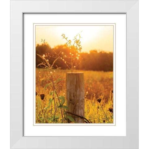 Post White Modern Wood Framed Art Print with Double Matting by Quillen, Donnie