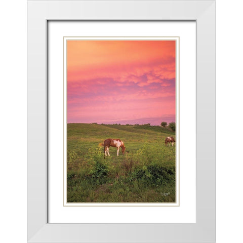 Horse at Sunset  White Modern Wood Framed Art Print with Double Matting by Quillen, Donnie