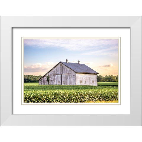 Rural Ohio Barn White Modern Wood Framed Art Print with Double Matting by Quillen, Donnie