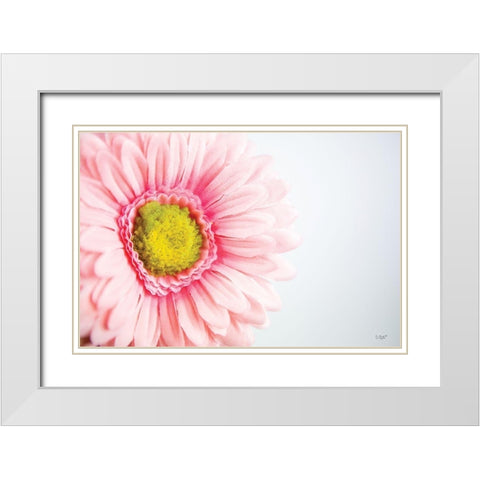 Daisy Close-up White Modern Wood Framed Art Print with Double Matting by Quillen, Donnie