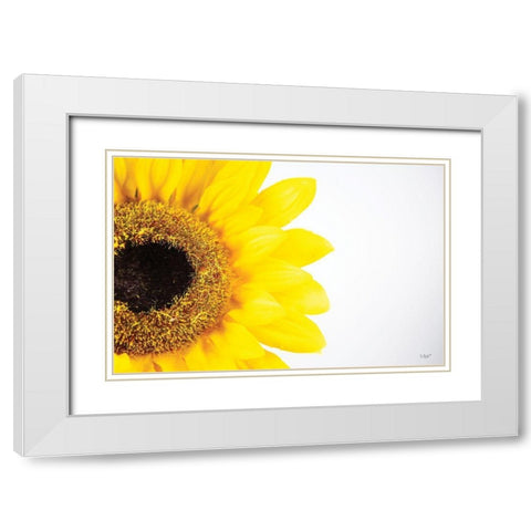Sunflower Close-up White Modern Wood Framed Art Print with Double Matting by Quillen, Donnie