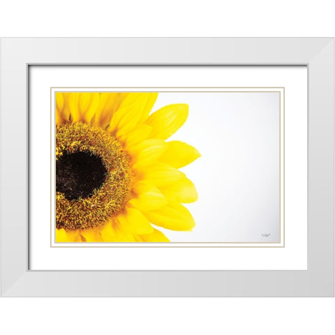 Sunflower Close-up White Modern Wood Framed Art Print with Double Matting by Quillen, Donnie